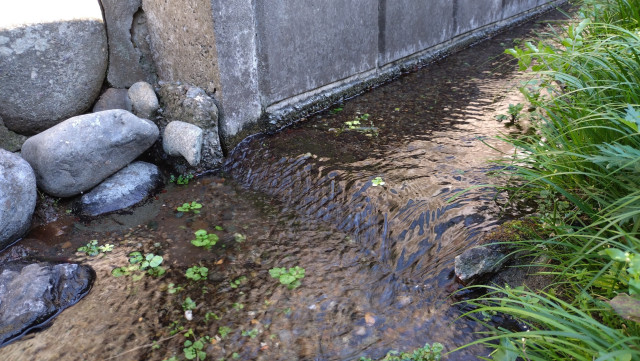 鈴鹿の泉湧水